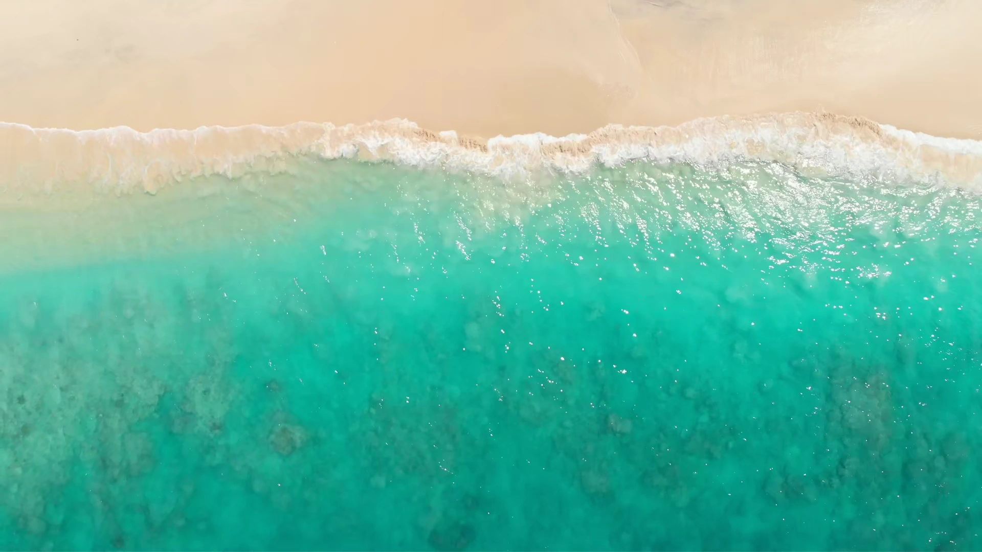 https://img1.wsimg.com/isteam/ip/e747a317-05ed-4d81-9e60-17bd8b23608f/thumbnails/thumbnail-e3fe96eb-143f-4dda-a7ef-5721372edf1e.png