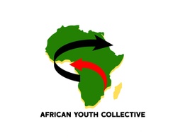 African Youth Collective 