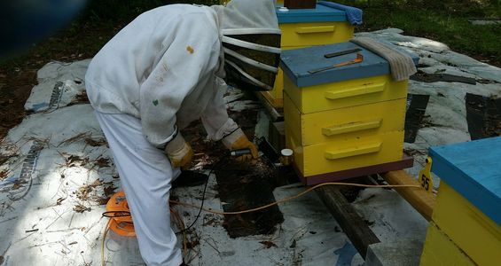 We are offing Spring and Fall Varroa mite treatments. We fog your hive with oxalic acid.