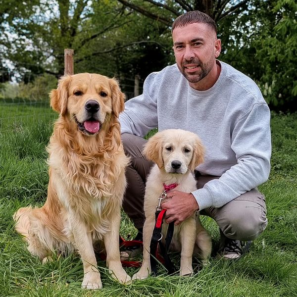 pup-pups-dog-training-puppy-training-dog-training-dog-trainer