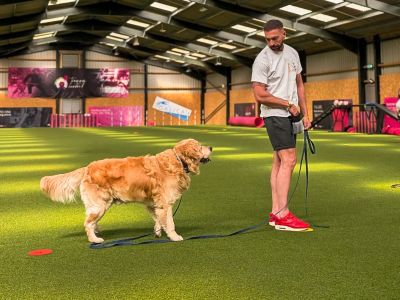 dog trainer basingstoke 