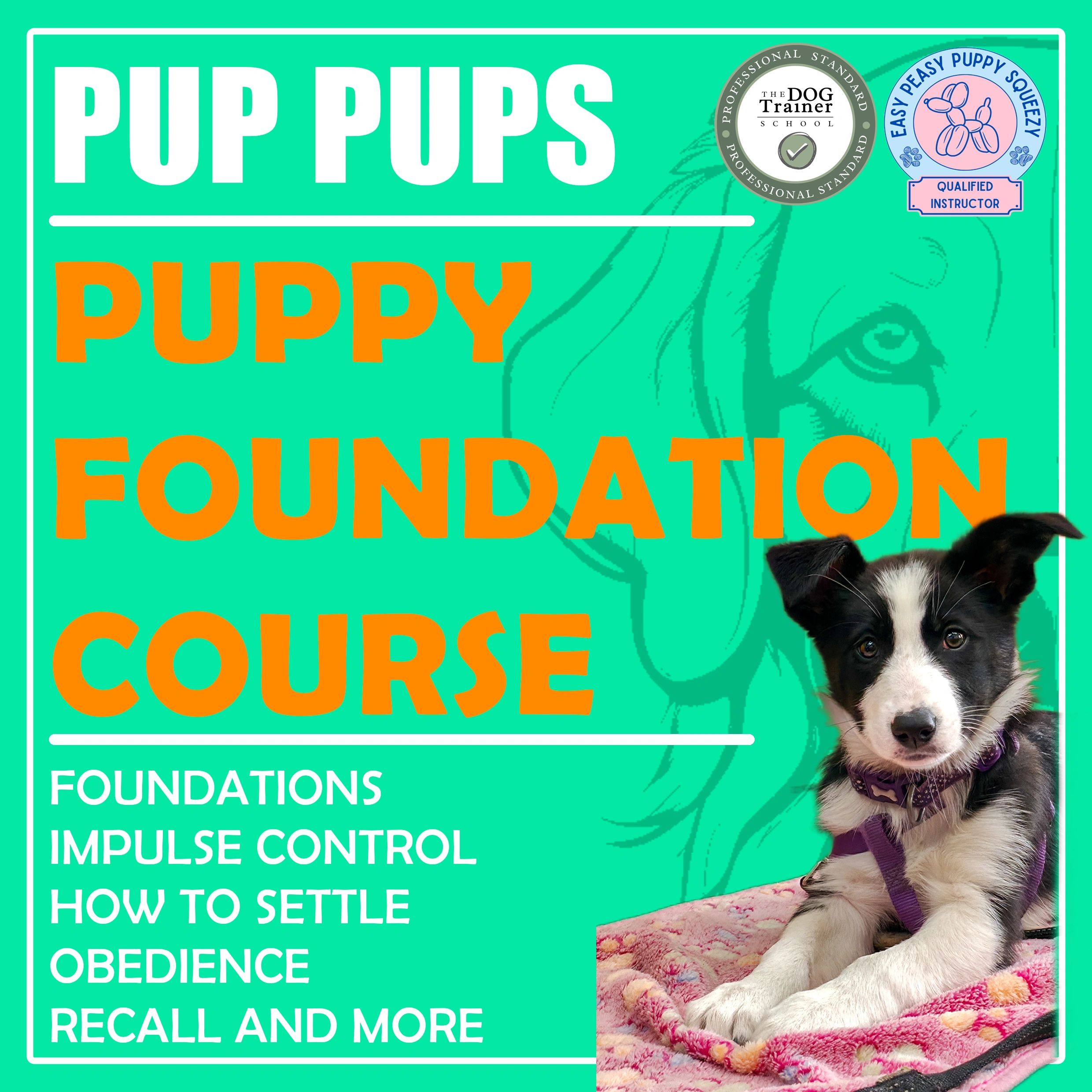 Pup Tutorial Class Pup Pups Foundation Course - 7th May