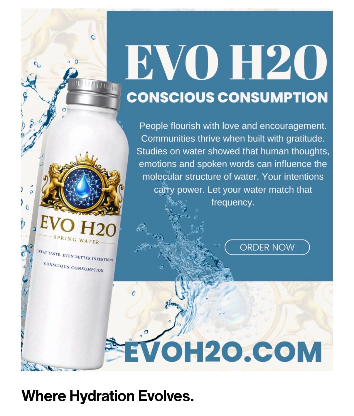 EVO H2O spring water bottle promoting conscious consumption and positive energy.