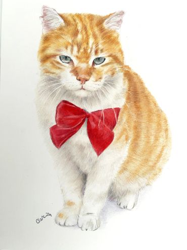Hand-drawn coloured pencil portrait of a ginger and white cat wearing a red bow.