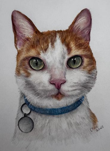 Realistic drawing of a cat with green eyes and a blue collar.