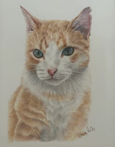 Realistic hand-drawn coloured pencil portrait of a ginger and white cat with green eyes.