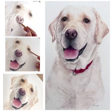 A realistic painting of a happy yellow Labrador retriever in progress.