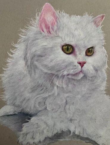 Realistic hand-drawn coloured pencil portrait of a fluffy white cat with green eyes.