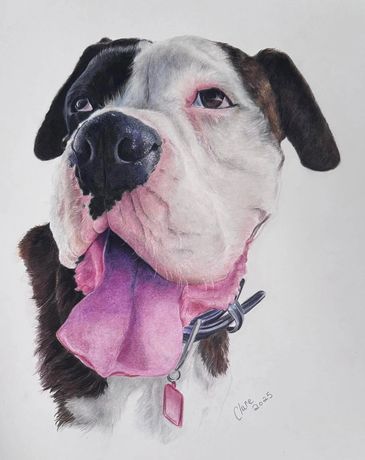 Realistic drawing of a happy dog with its tongue out.