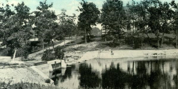 A calm river bank with trees and a small embankment.