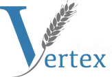 vertex 