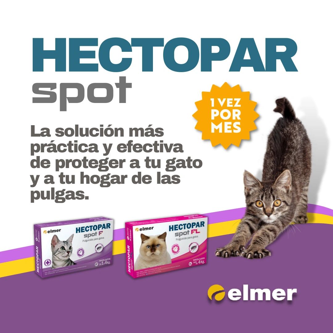 Pipetas Hectopar spot - Felinos