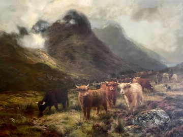 Highland cattle standing in a misty mountain landscape.