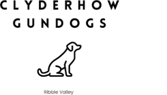 Clyderhow Gundogs
