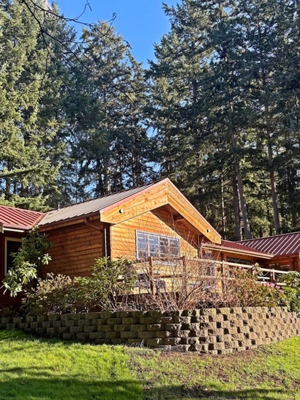 Wooden cabin surrounded by tall trees under clear blue sky.