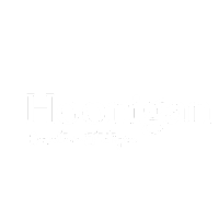 hooniganconsultoria.com.br