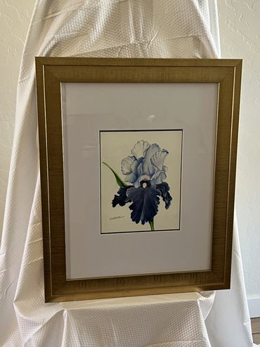 Dual tone iris flower in blue and white on beige background