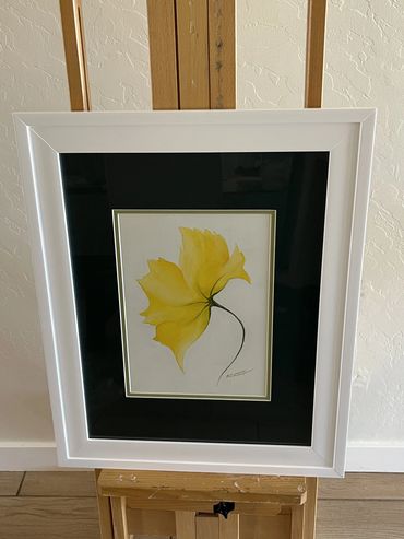 single yellow flower, with green stem on a white background