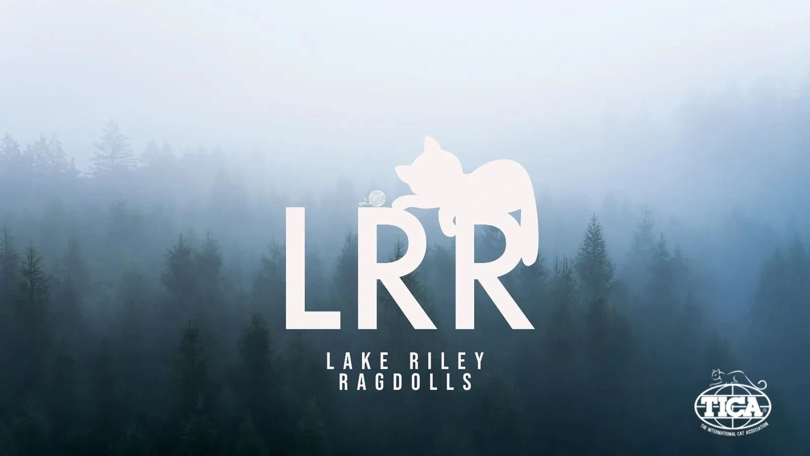 Lake Riley Ragdolls logo