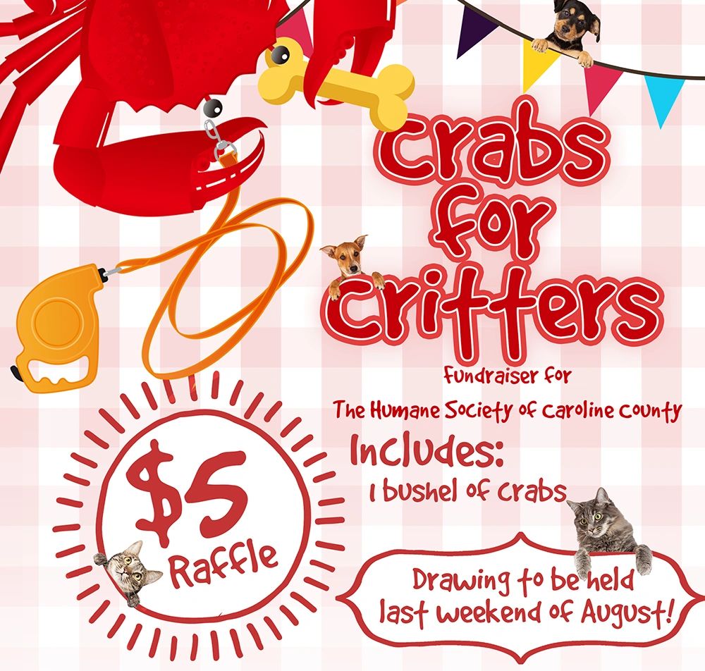Fundraiser flyer for "Crabs for Critters."