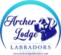   Archer Lodge Labradors 