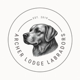   Archer Lodge Labradors 