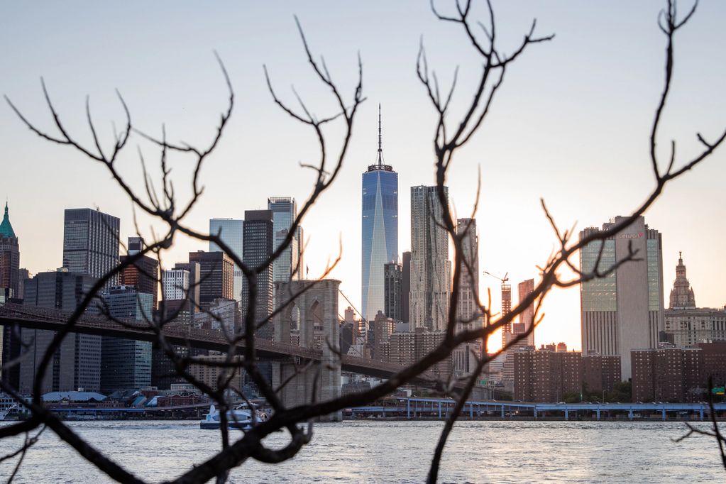 View of New York City skyline with Brooklyn Bridge framed by tree branches at sunset.