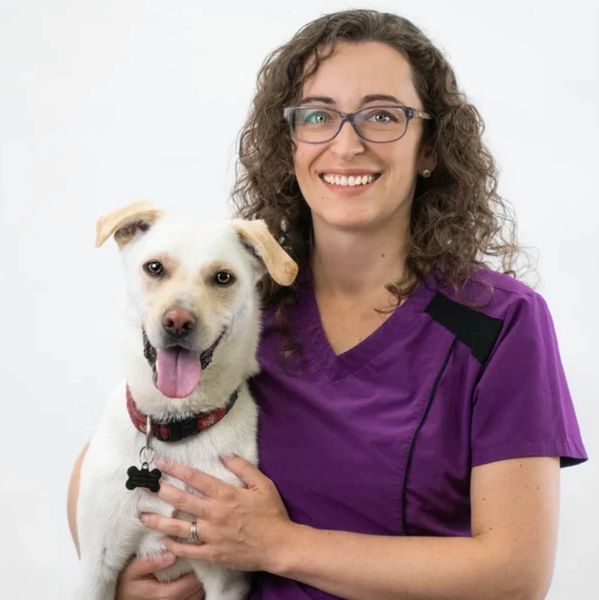 Dr. Stephanie Cory DVM veterinarian with a dog