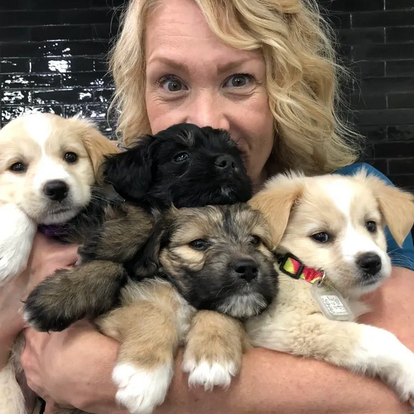 Terry veterinary assistant and clinic coordinator with puppies