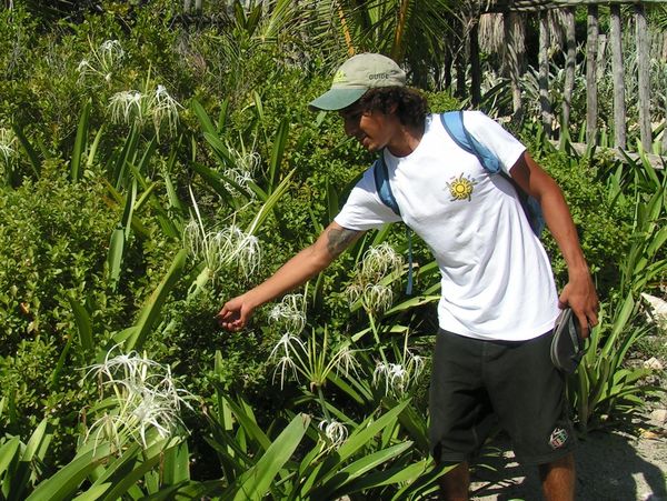 A guide explaining flowering plants along a trail.