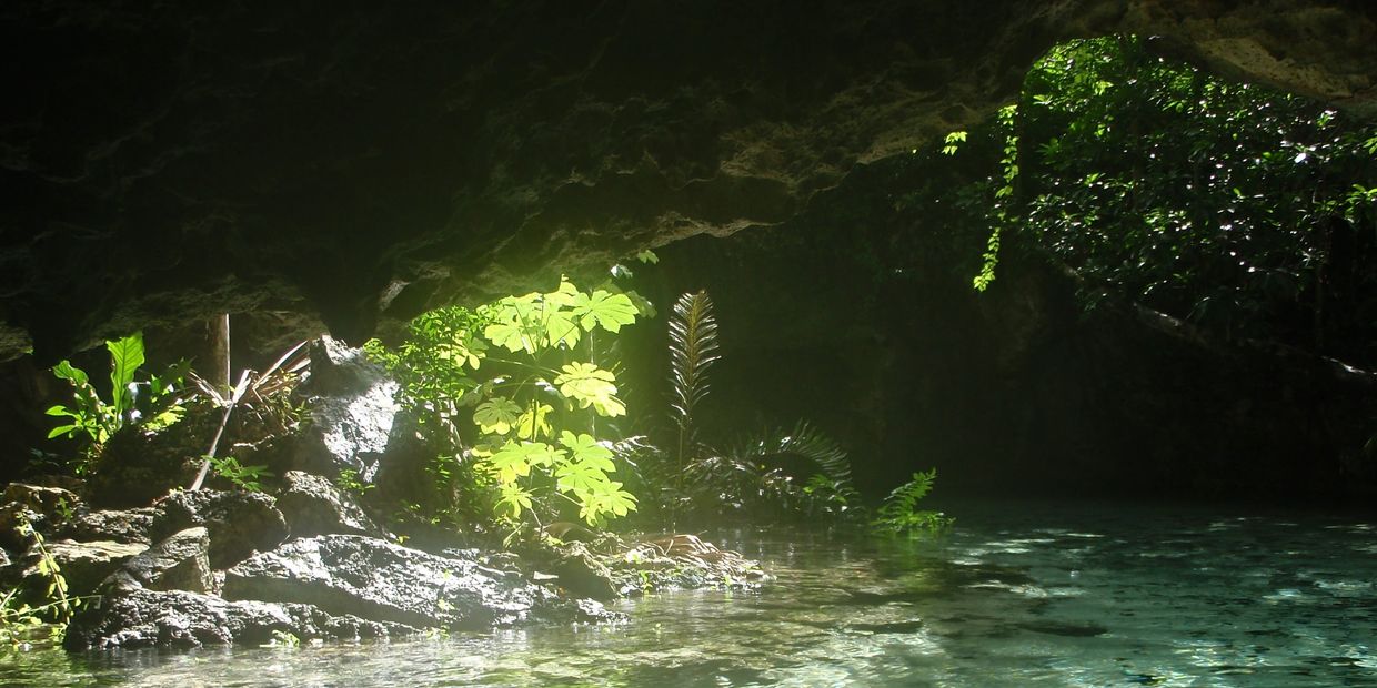 Ferns and vines flourish above the clear waters of a jungle pool at the edge of a cave.