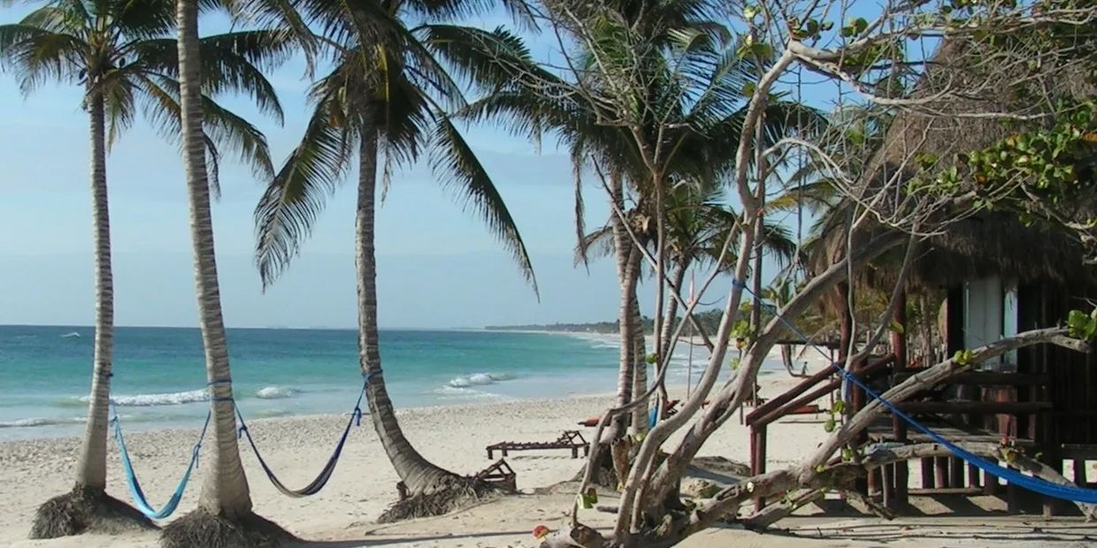 Long view of beach, sea, coconut palms, and beach cabin.