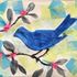 Spring Time Art Party: Watercolors and transparent tissue paper using stencils.