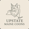 Upstate Maine Coons