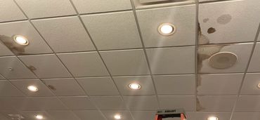 Stained Ceiling tiles