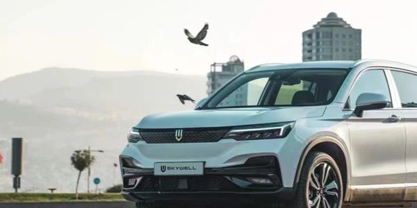 A modern Skywell SUV parked with birds flying in the background.