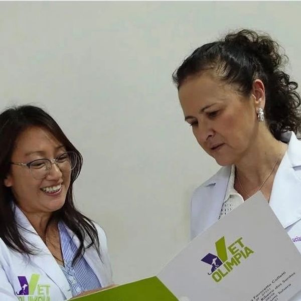 Veterinárias discutindo protocolo de atendimento