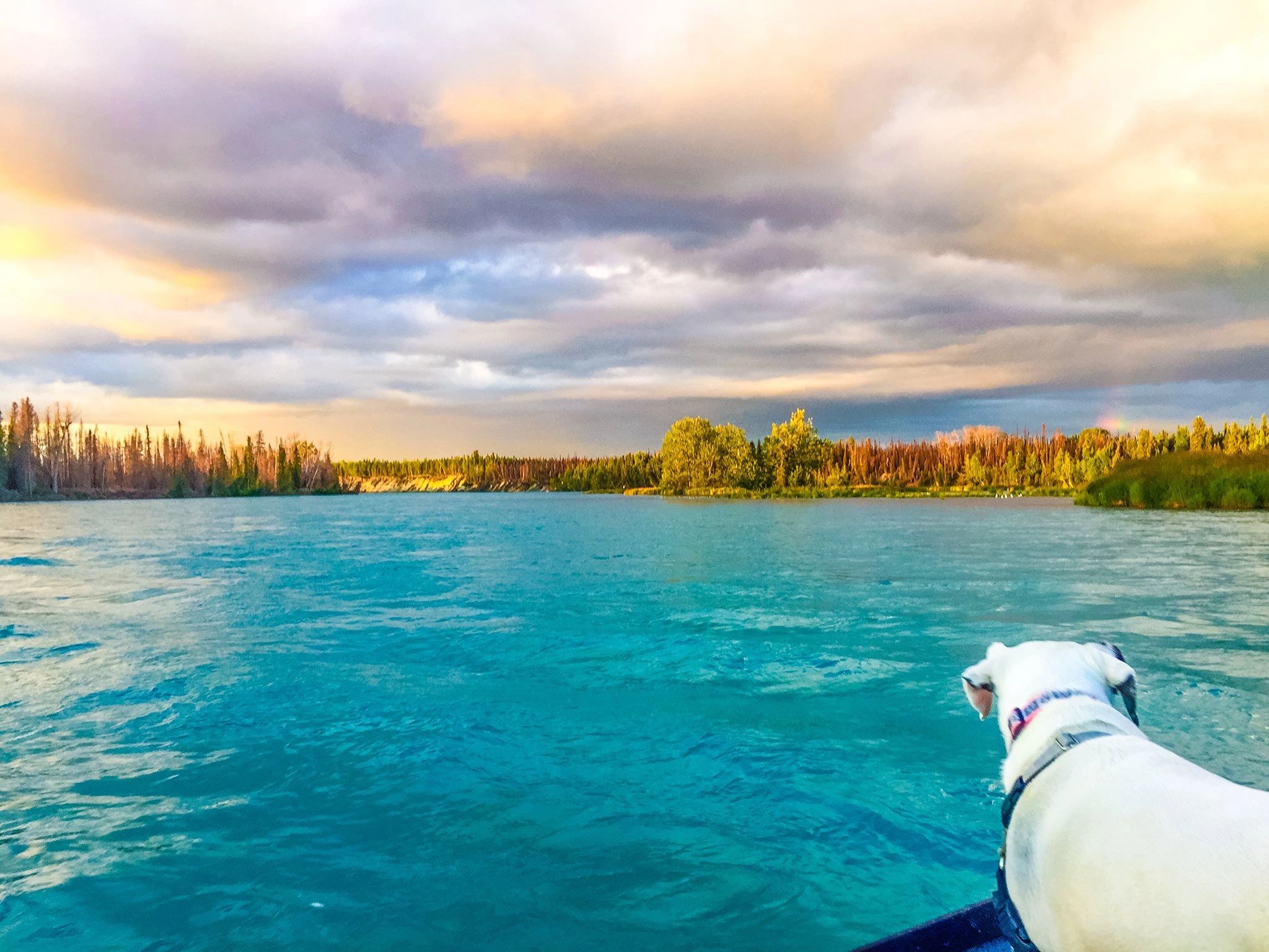 Zillow Soldotna Alaska 61