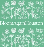 BloomAgainHouston