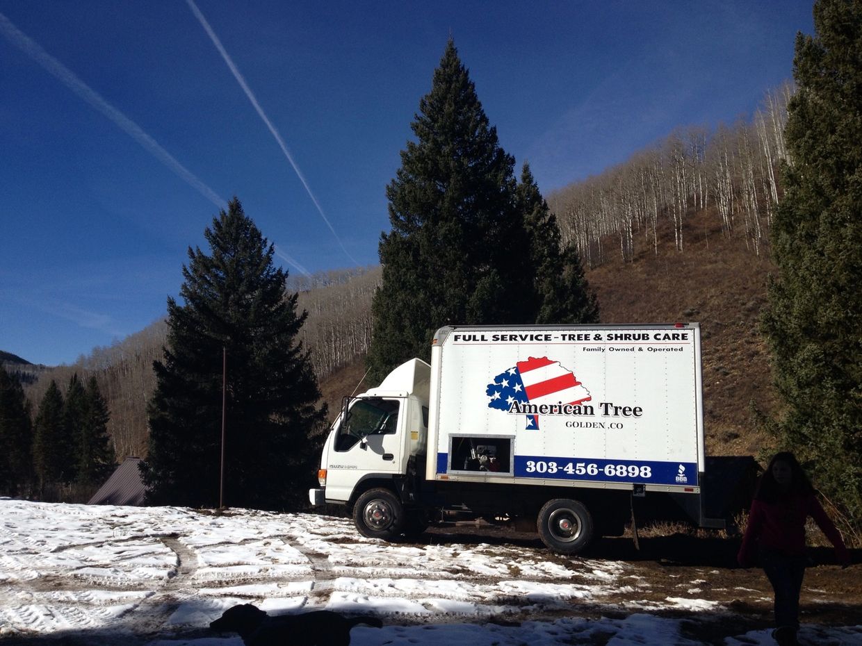 A tree care truck parked in a snowy mountainous area with tall pine trees.