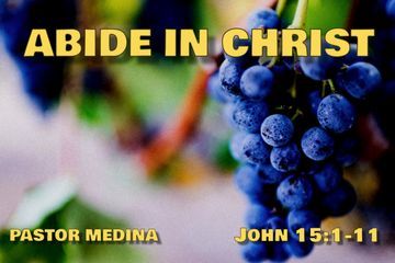 Close-up of grapes with religious text about abiding in Christ.