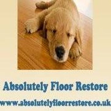 Absolutely Floor Restore