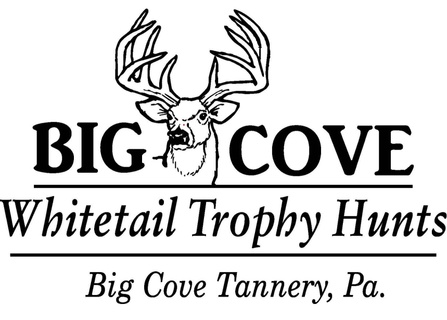 Big Cove Whitetails