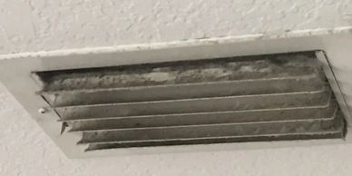 Picture of mold contaminated supply vent