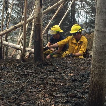 Wildfire Fighting