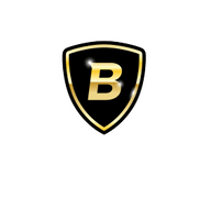 Bowman Auto Detailing LLC