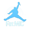 Fat MIC