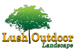 Lush Outdoor Landscape