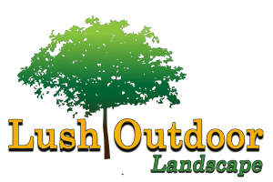Lush Outdoor Landscape