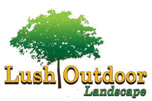 Lush Outdoor Landscape